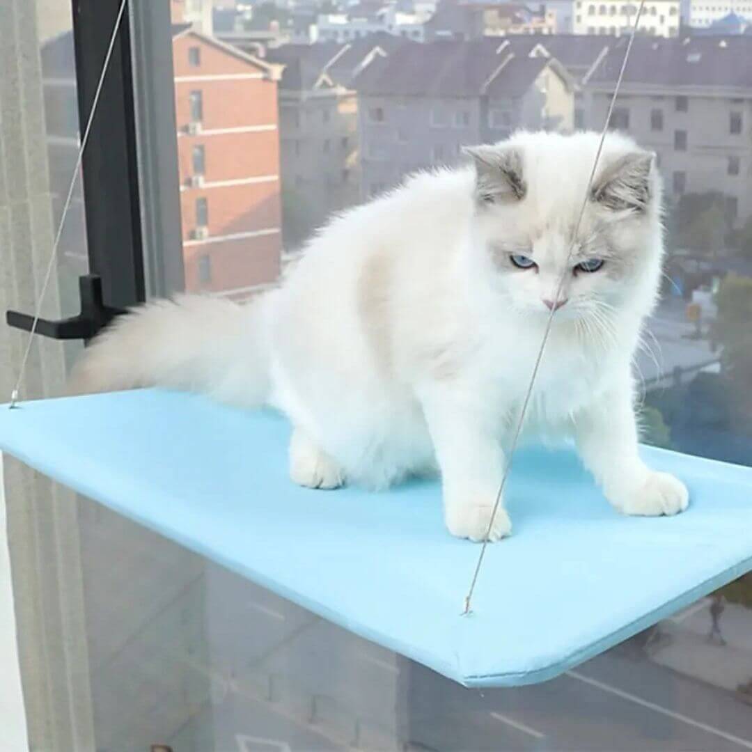 HAMAC CHAT FENETRE| Cat Perch™ - opaschats