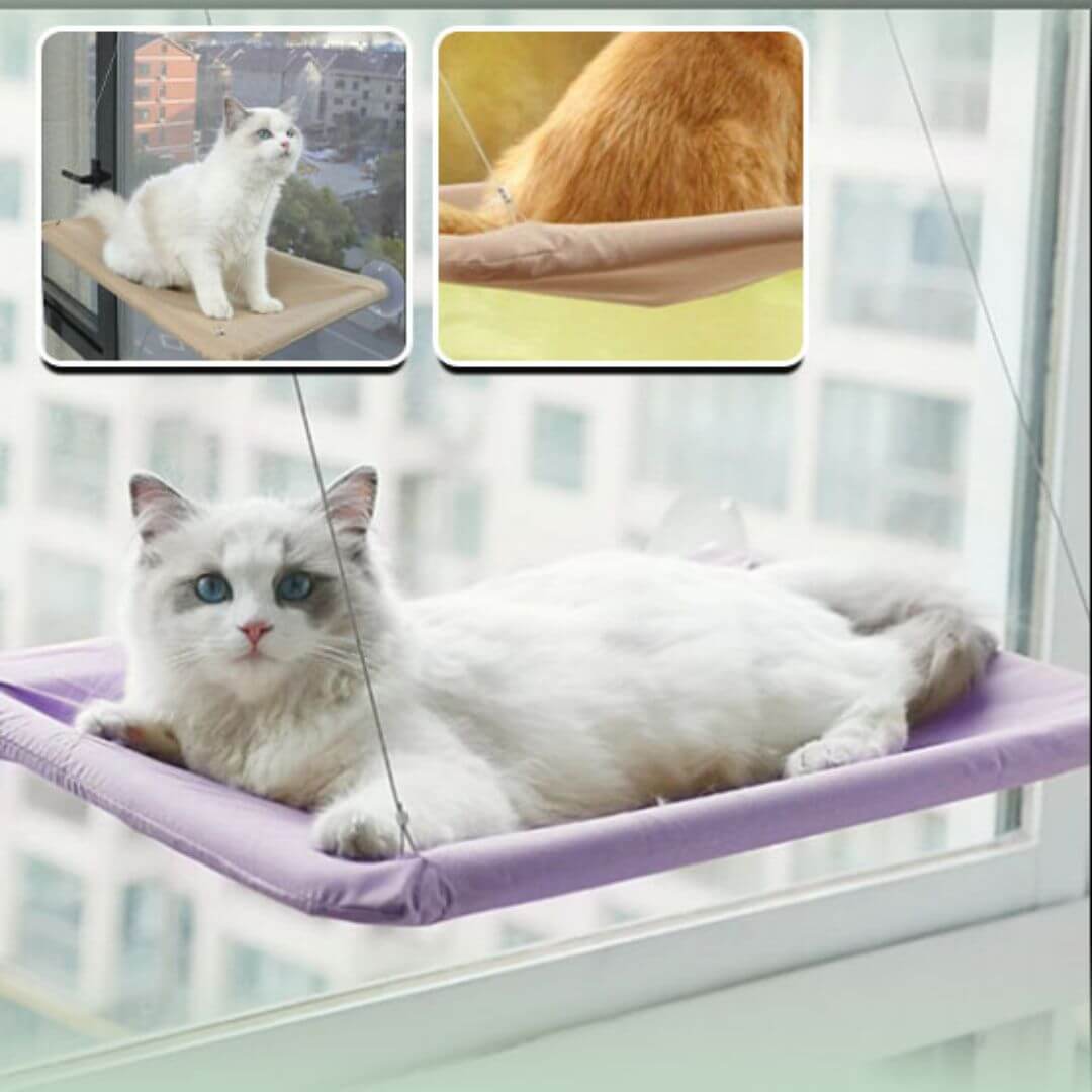 hamac chat fenetre | cat perch™ - opaschats