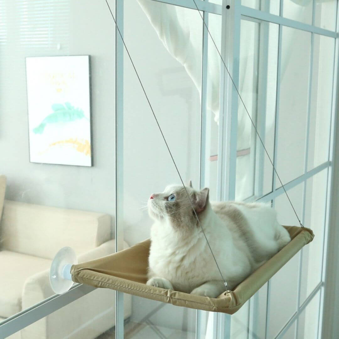 hamac chat fenetre | cat perch™ - opaschats