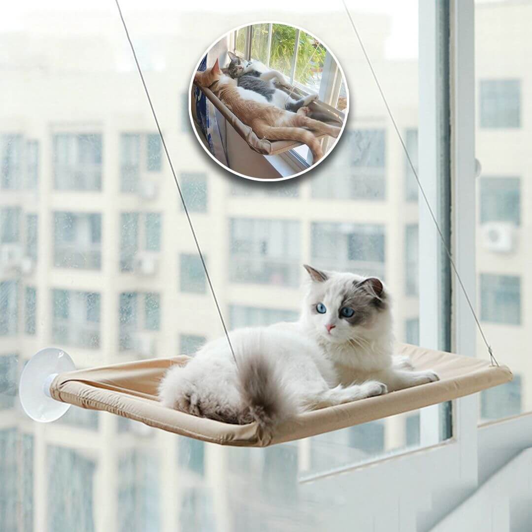 hamac chat fenetre | cat perch™ - opaschats