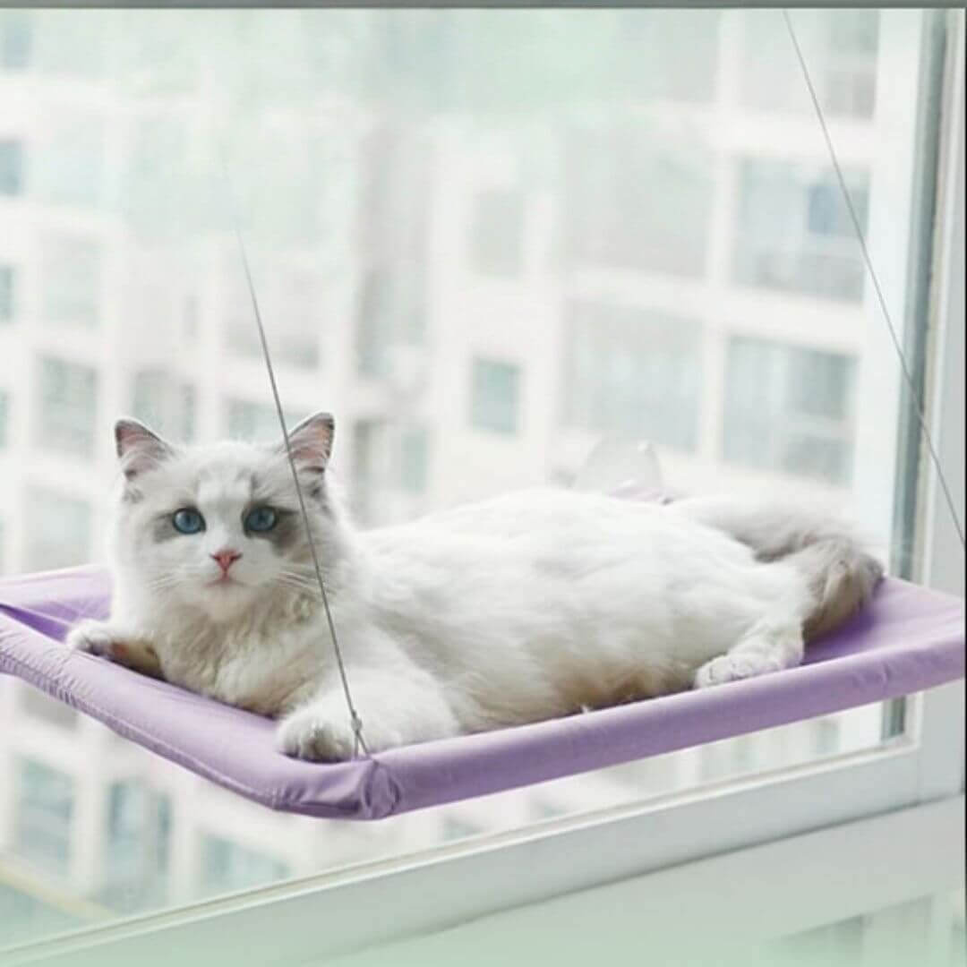 HAMAC CHAT FENETRE| Cat Perch™ - opaschats