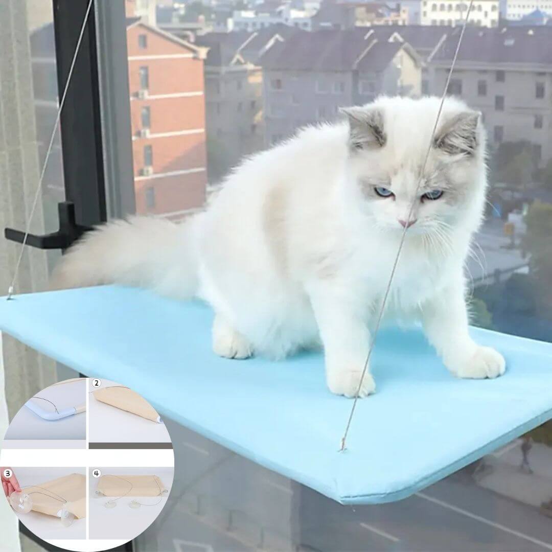 hamac chat fenetre | cat perch™ - opaschats