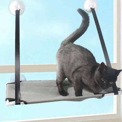 hamac chat fenetre | évasion panoramique - opaschats