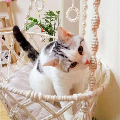 HAMAC CHAT | Hamac Suspendu™ - opaschats