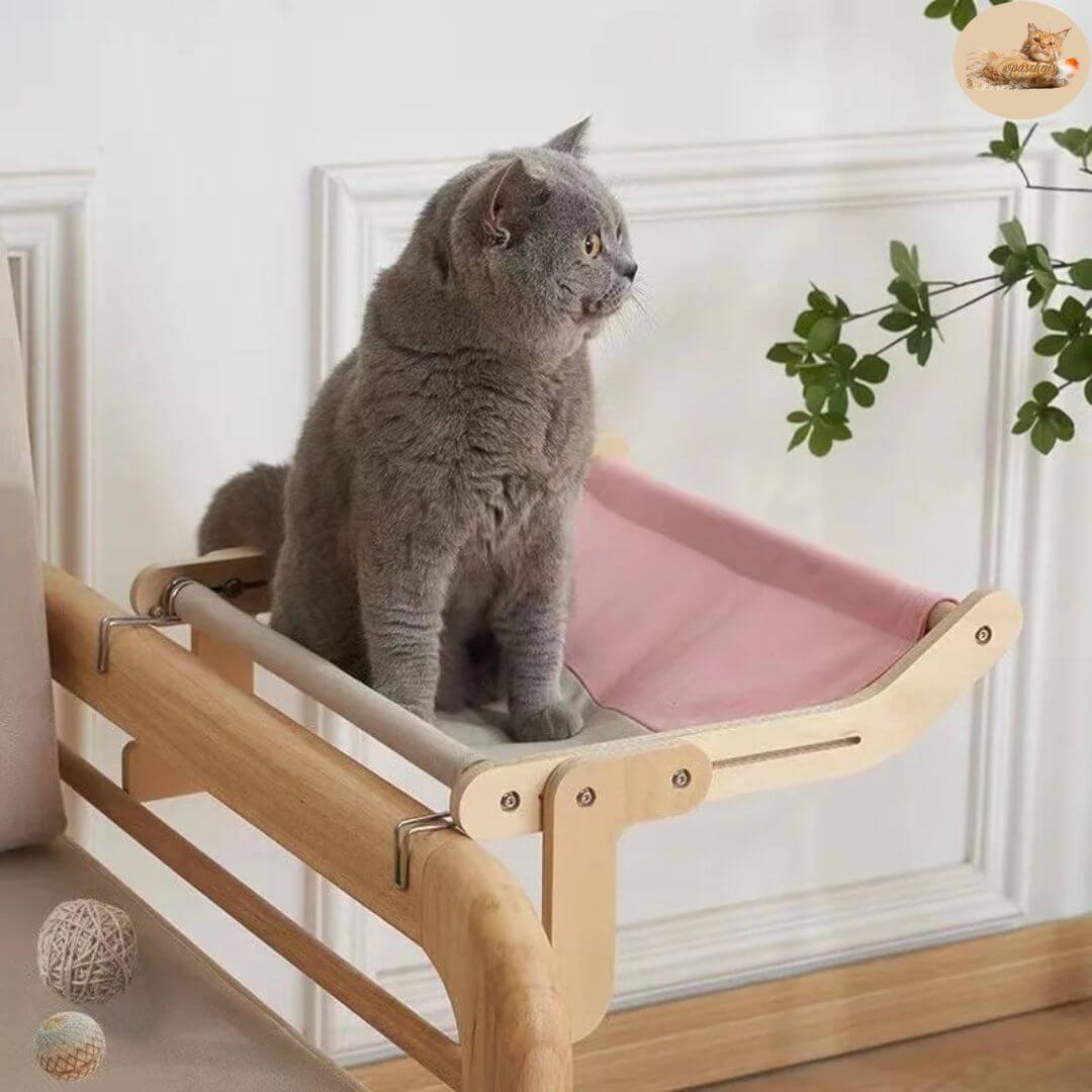 hamac pour chat- cat hammock™ - Opaschats