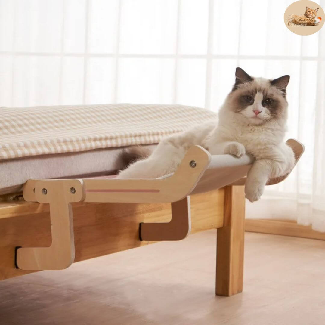 hamac pour chat- cat hammock™ - Opaschats