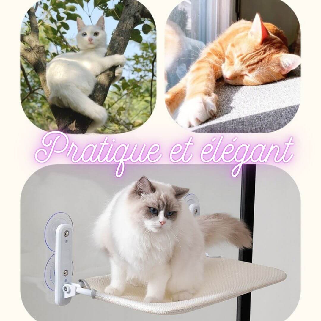 hamac pour chat | pratique & élégant™ - opaschats