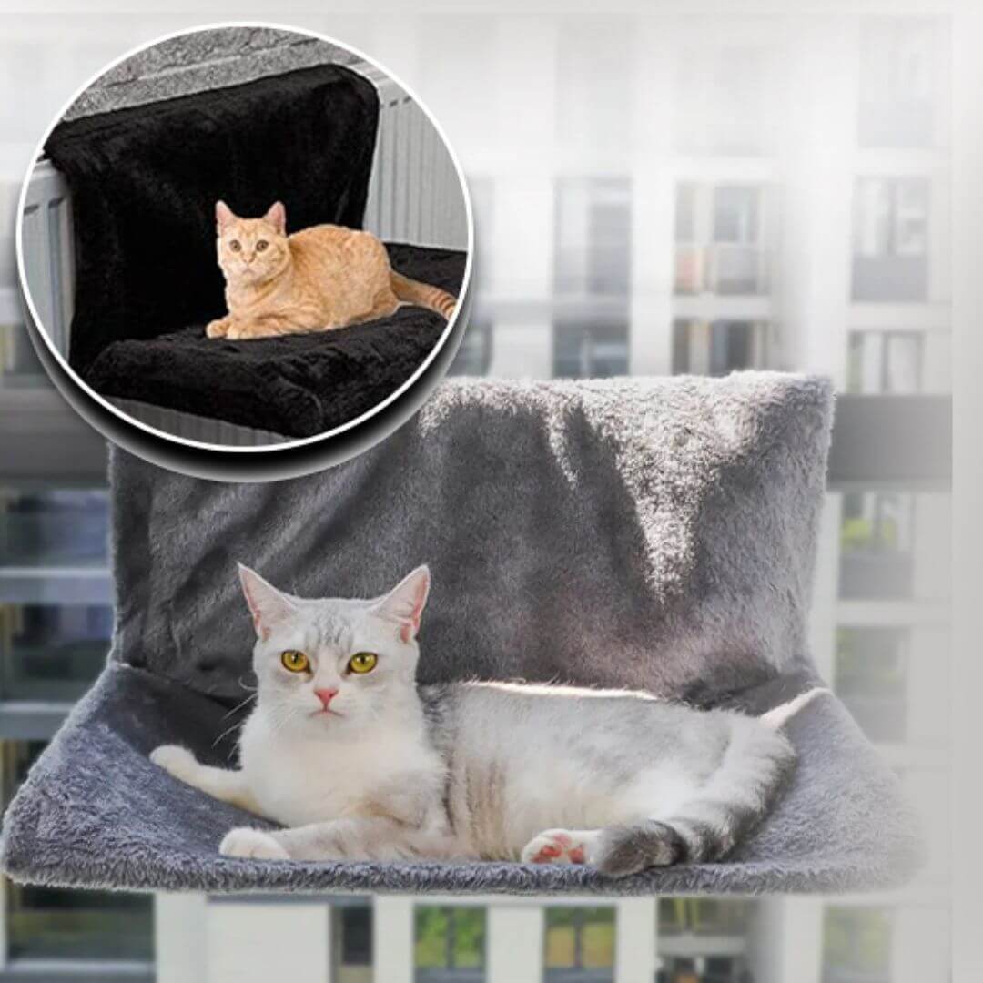 hamac pour chat | radiateur™ - opaschats