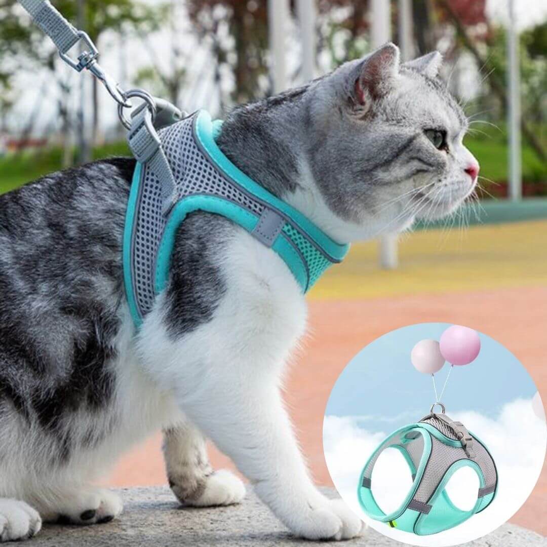 harnais chat anti - fugue | secure harness™ - opaschats