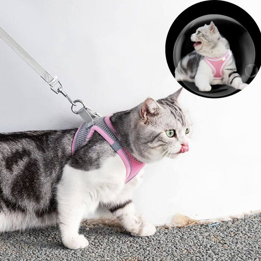 harnais chat anti - fugue | secure harness™ - opaschats