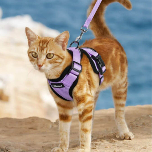 harnais chat | nature - opaschats