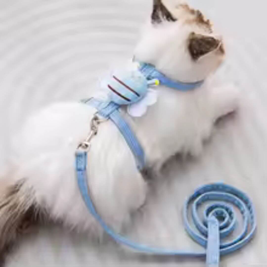 harnais pour chat | abeille - opaschats