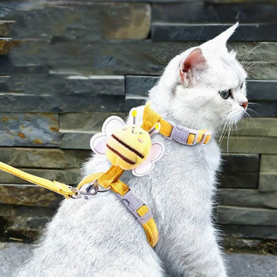 harnais pour chat | abeille - opaschats