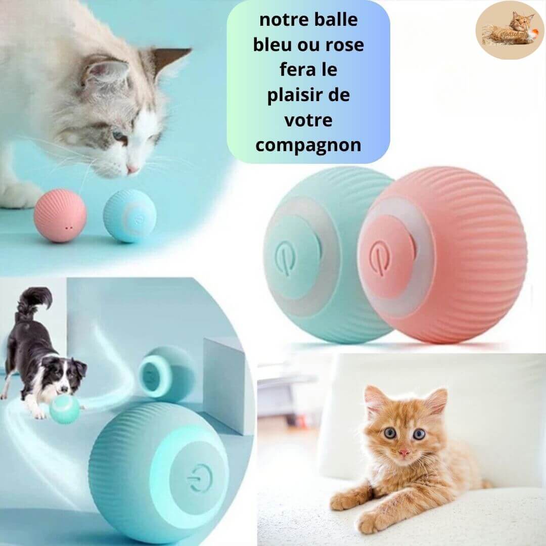 jeu-pour-chat-balle-amusement