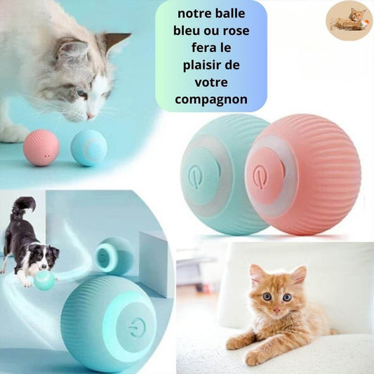 jeu-pour-chat-balle-amusement