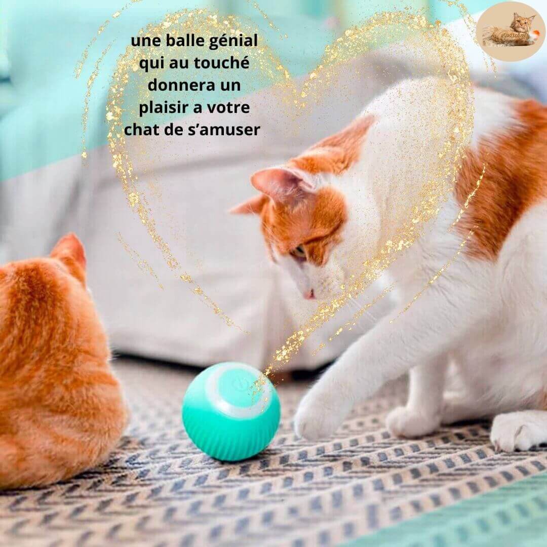 jeu-pour-chat-balle-sante