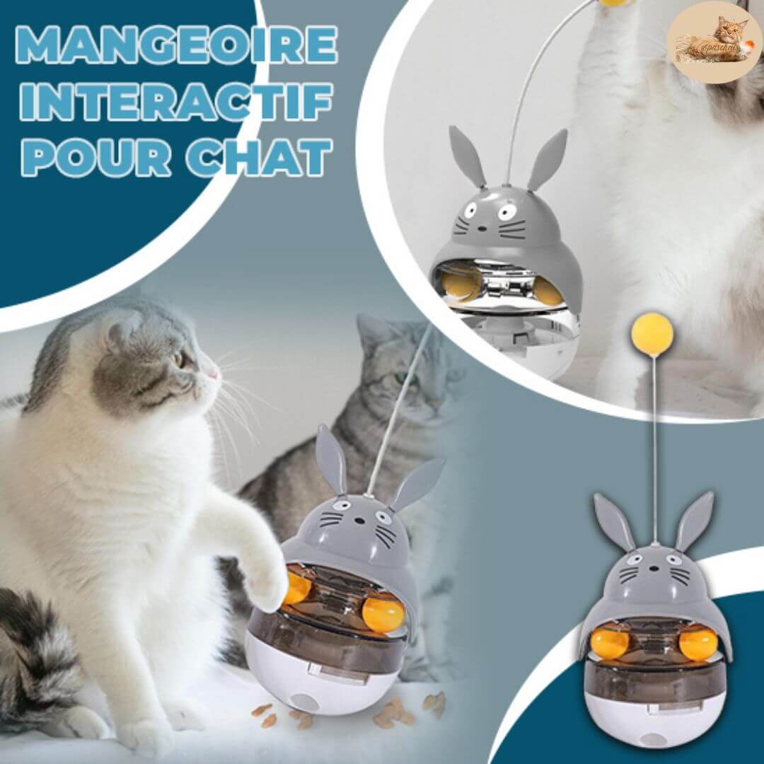 jeux pour chat - Distributeur croquette™ - opaschats