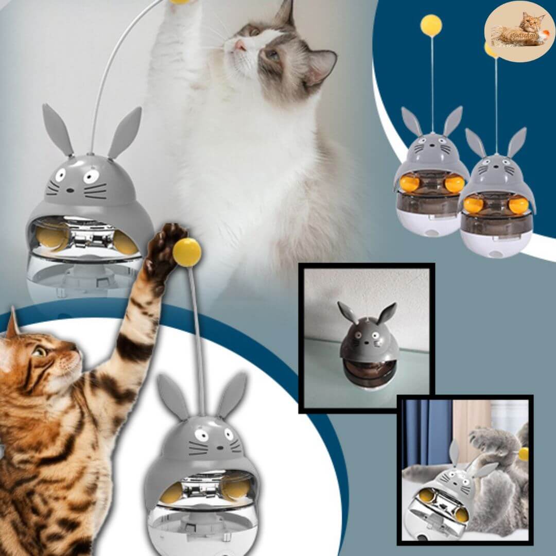 jeux pour chat - Distributeur croquette™ - opaschats