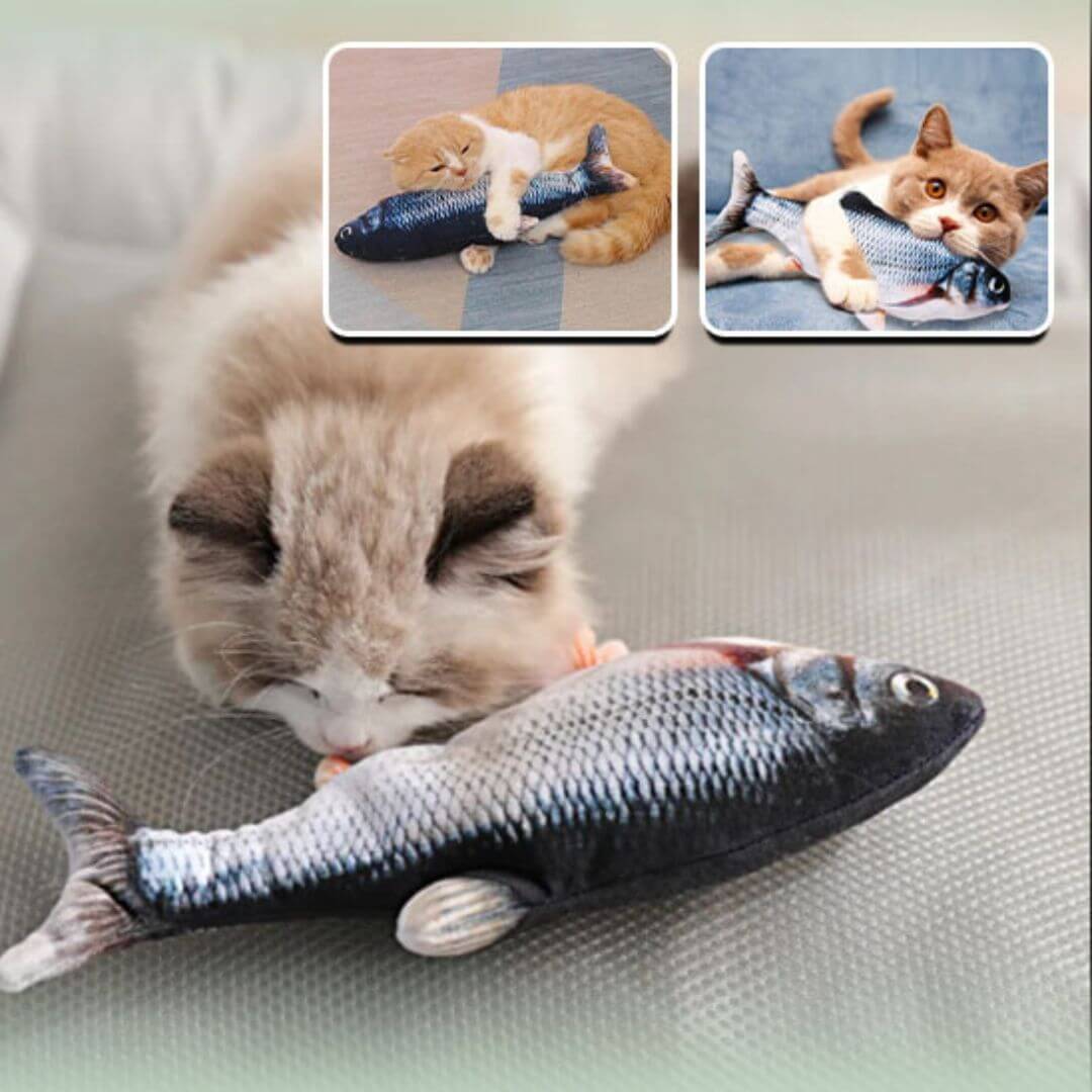 jouet chat | poisson interactif™ - opaschats