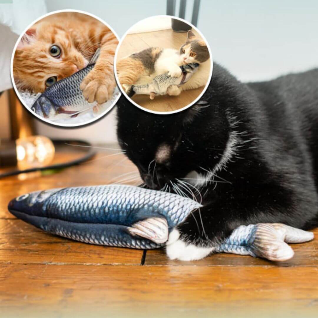 jouet chat | poisson interactif™ - opaschats