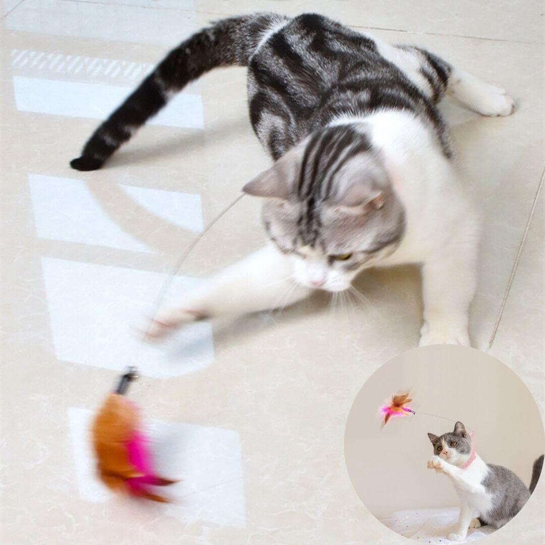 jouet pour chat | feather collar toy™ - opaschats