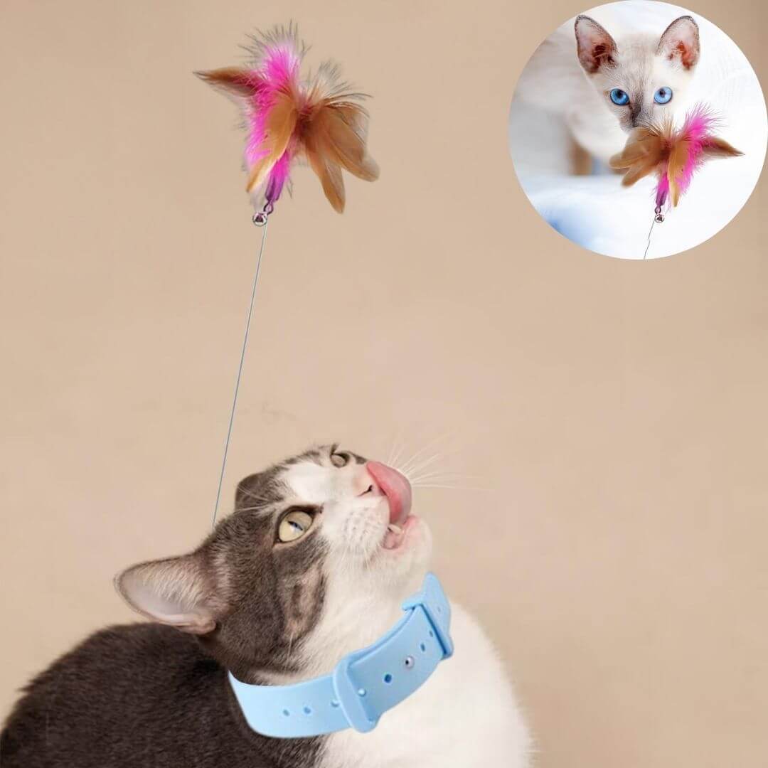 jouet pour chat | feather collar toy™ - opaschats