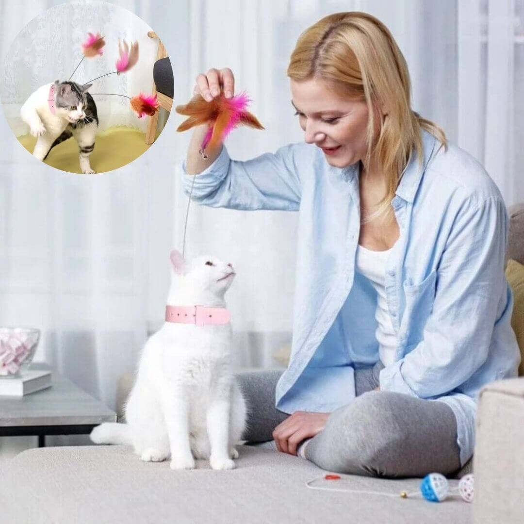 jouet pour chat | feather collar toy™ - opaschats