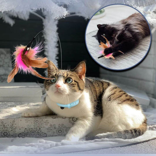 jouet pour chat | feather collar toy™ - opaschats