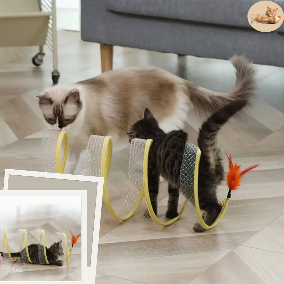 Jouets pour chats - Tunnel chat™ - opaschats