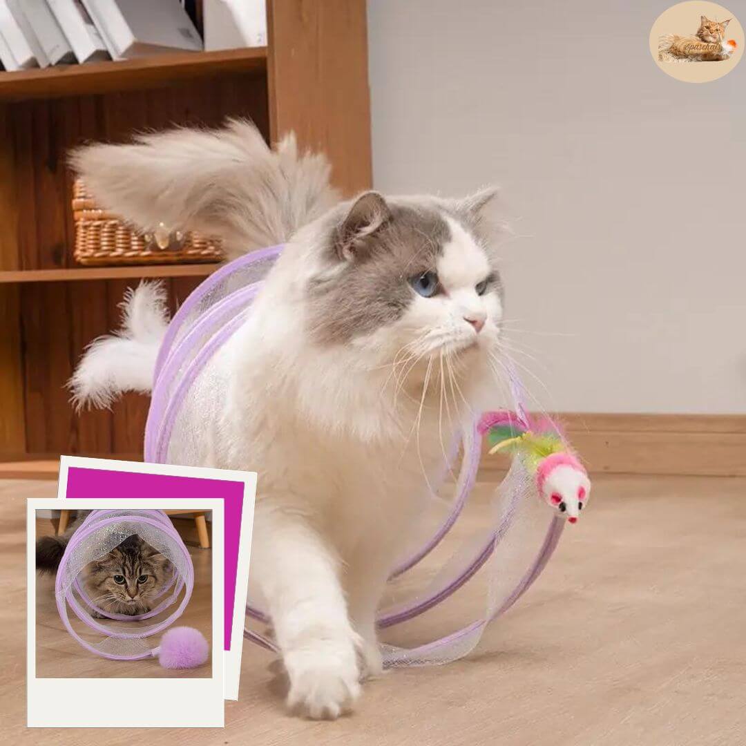 Jouets pour chats - Tunnel chat™ - opaschats