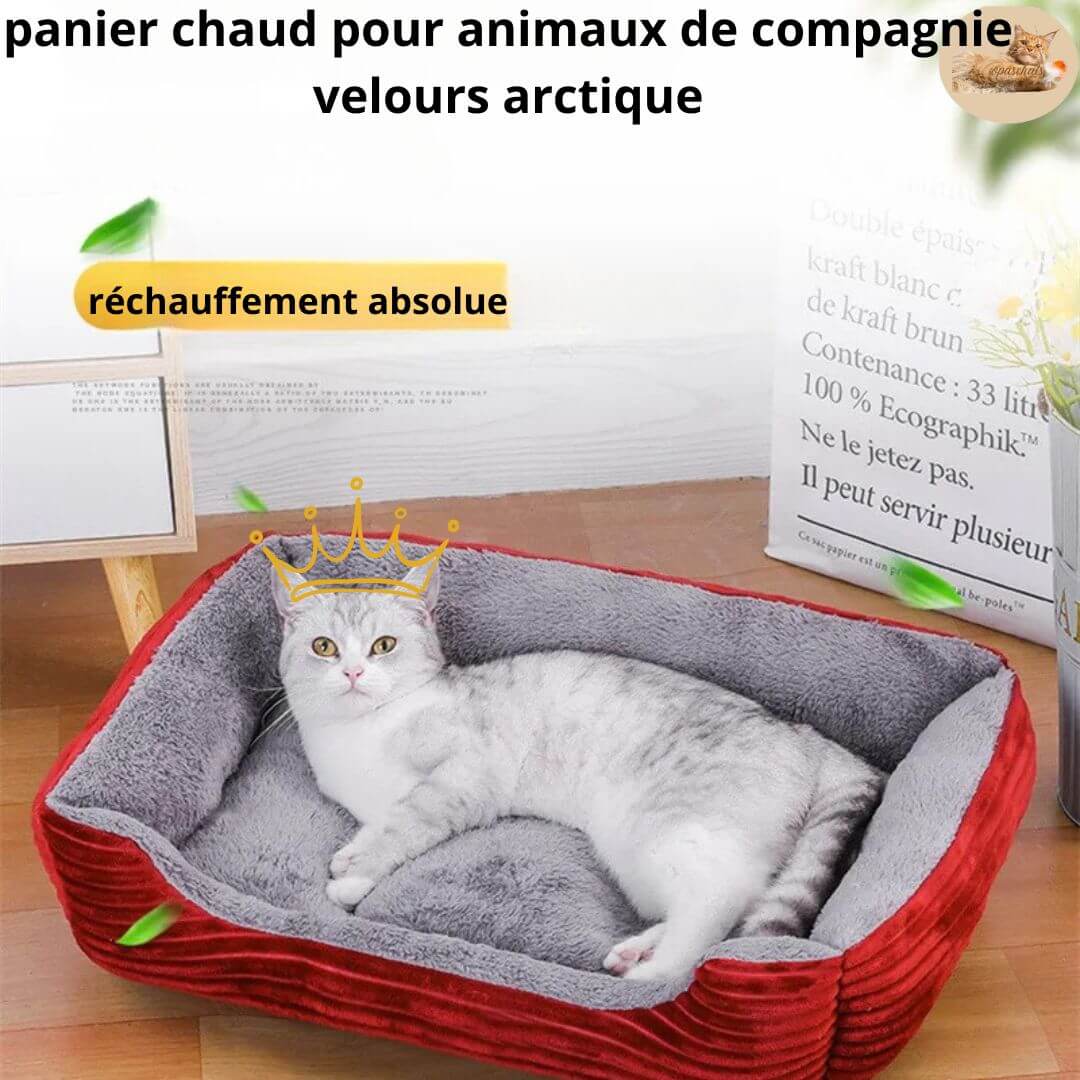 lit pour chat | Canapé lit pacha™ - opaschats