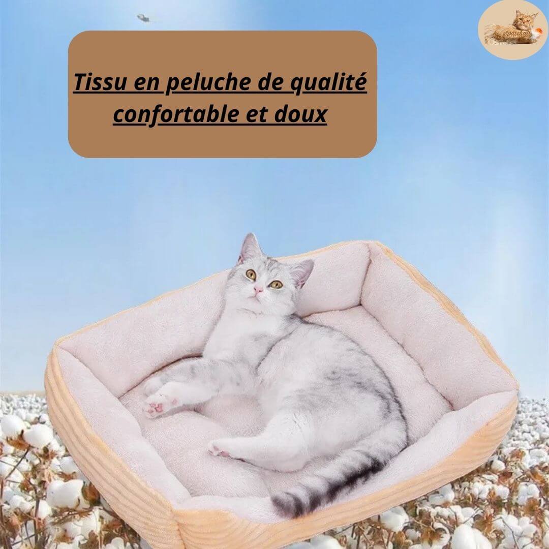 lit pour chat | Canapé lit pacha™ - opaschats