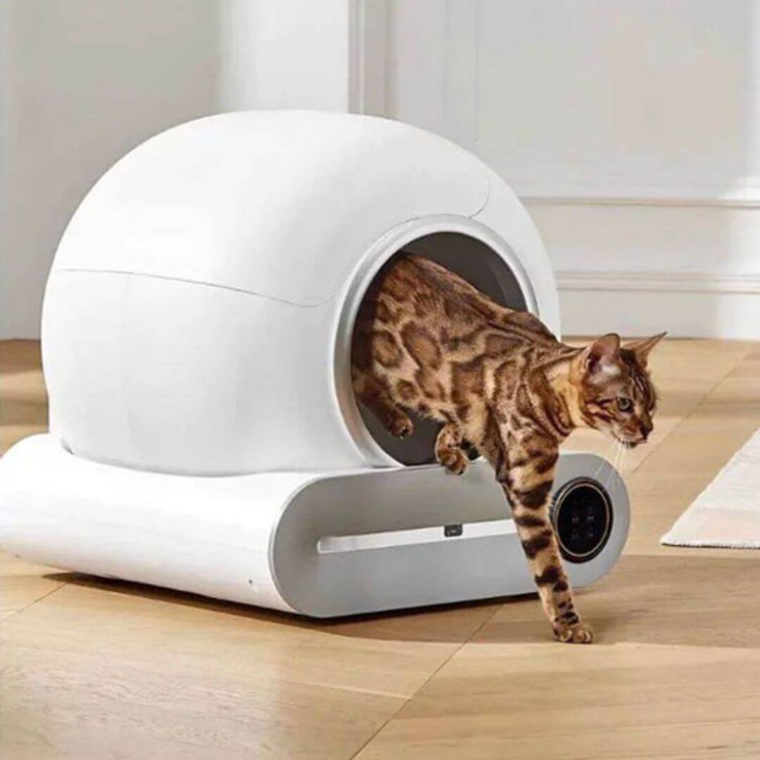 litière automatique chat | système autonettoyant - opaschats
