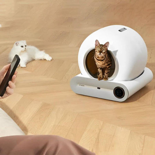 litière automatique chat | système autonettoyant - opaschats