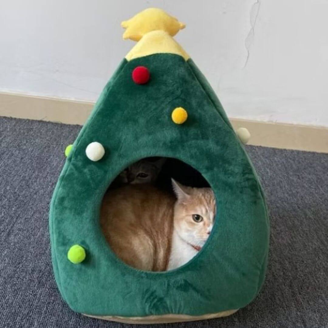 NICHE À CHAT | Étoilé™ - opaschats