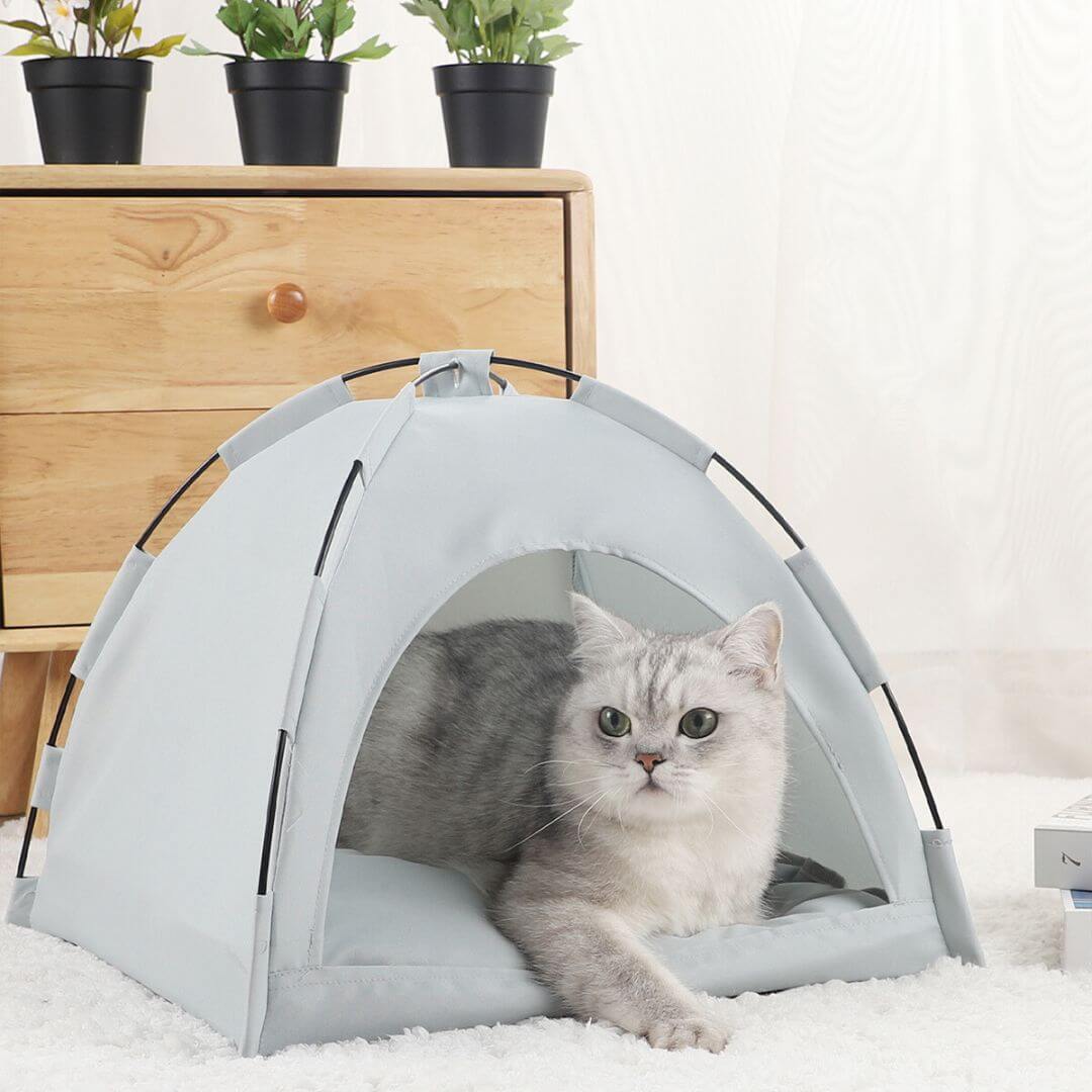 niche chat | cozy cat tent™ - opaschats