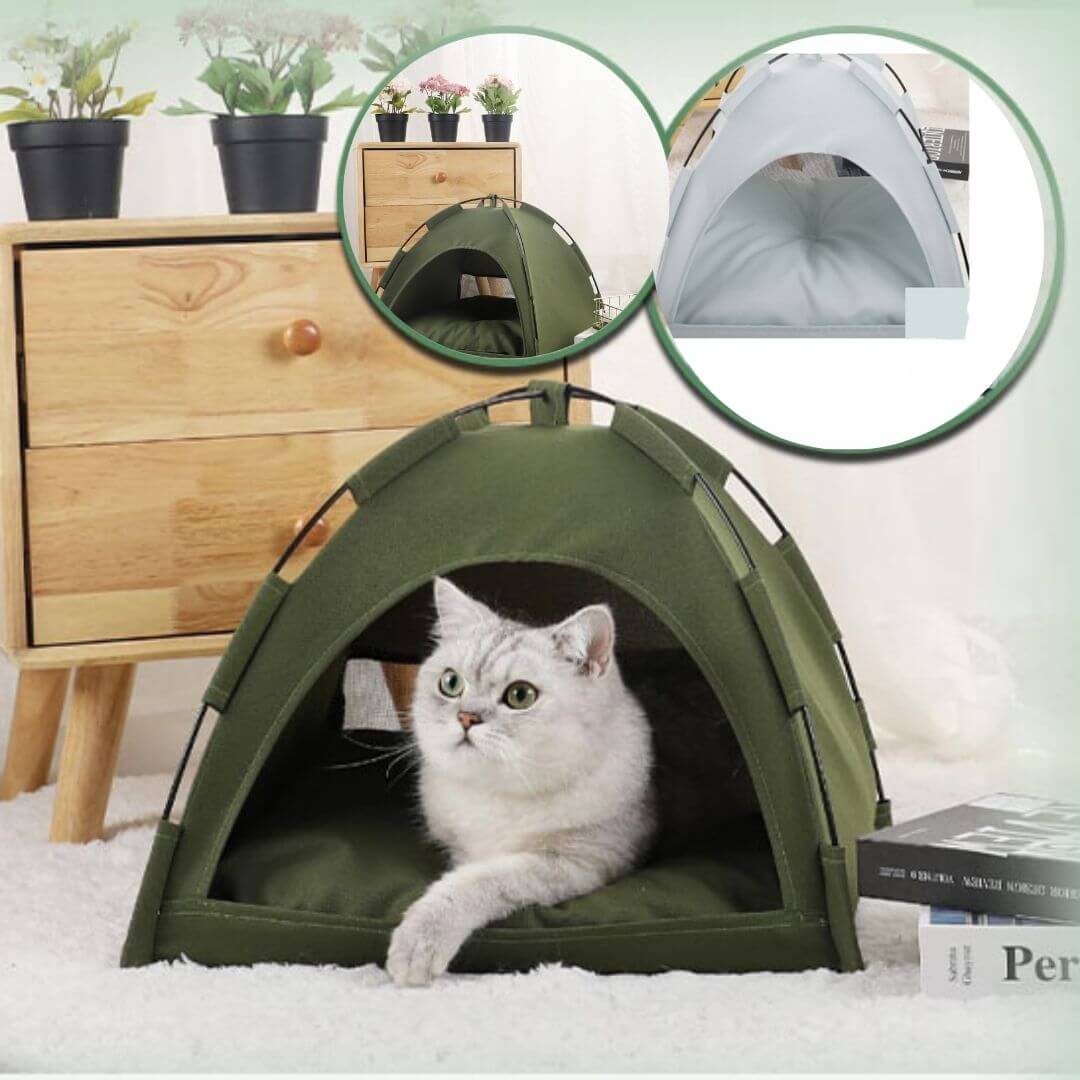 niche chat | cozy cat tent™ - opaschats