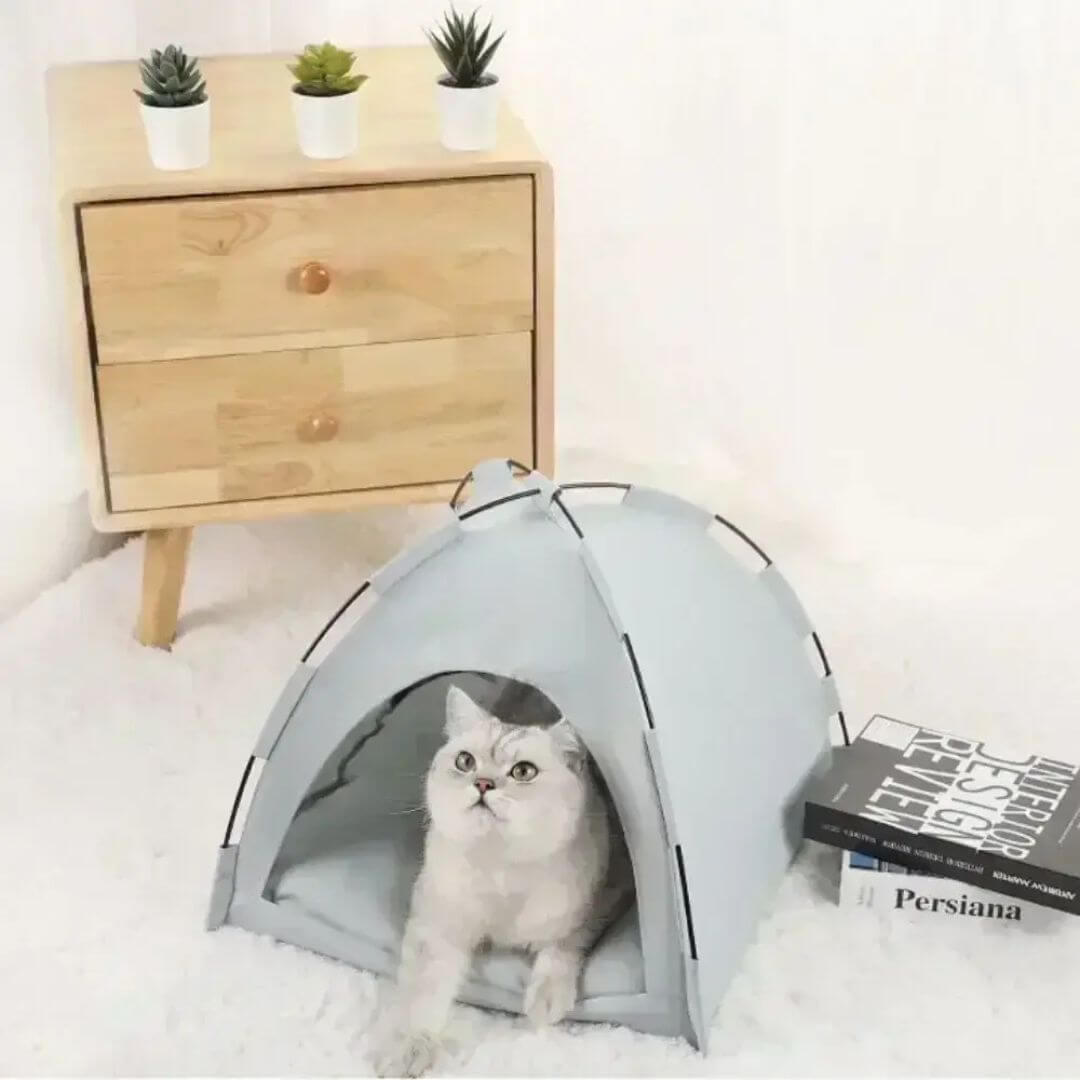 NICHE CHAT | Cozy cat tent™ - opaschats
