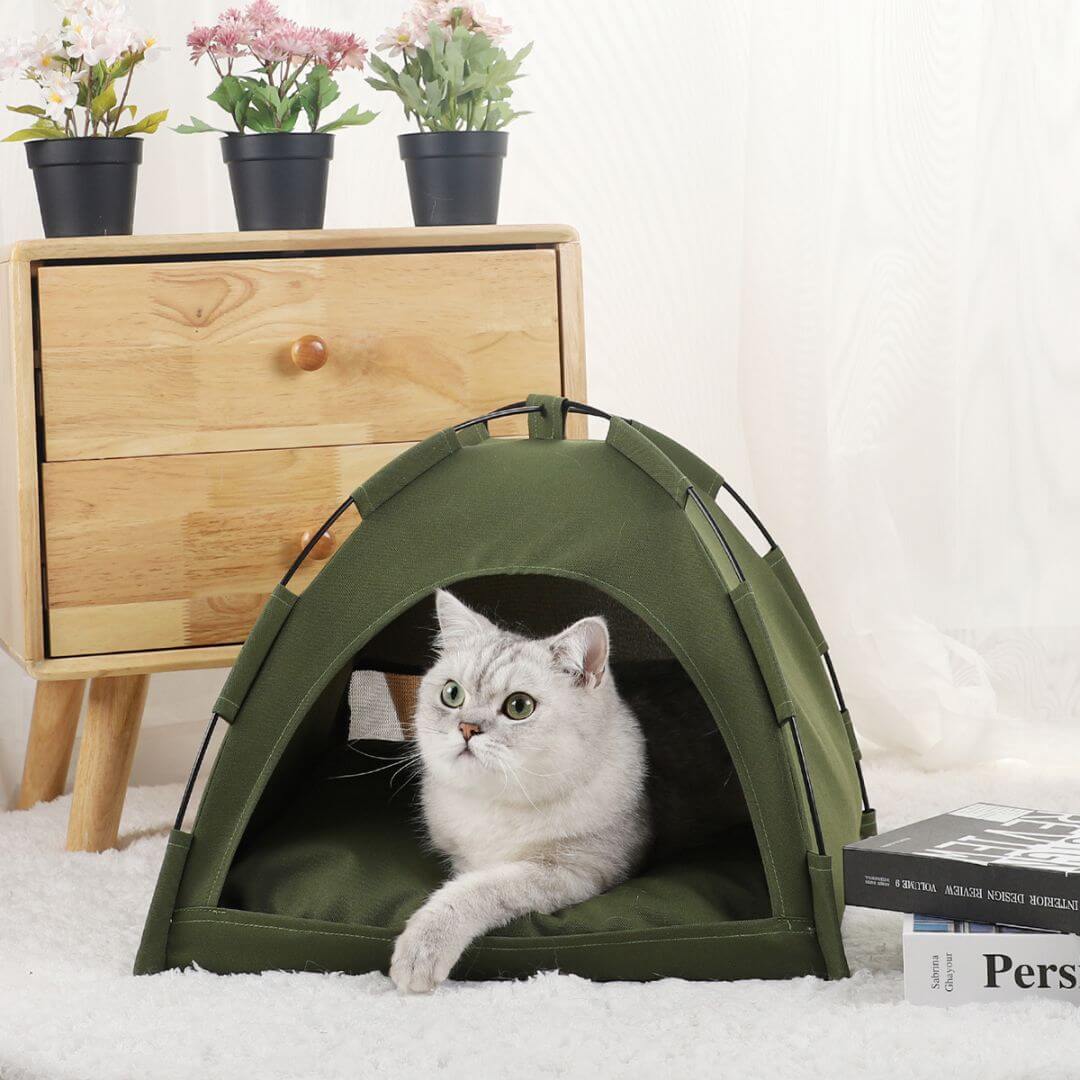 niche chat | cozy cat tent™ - opaschats