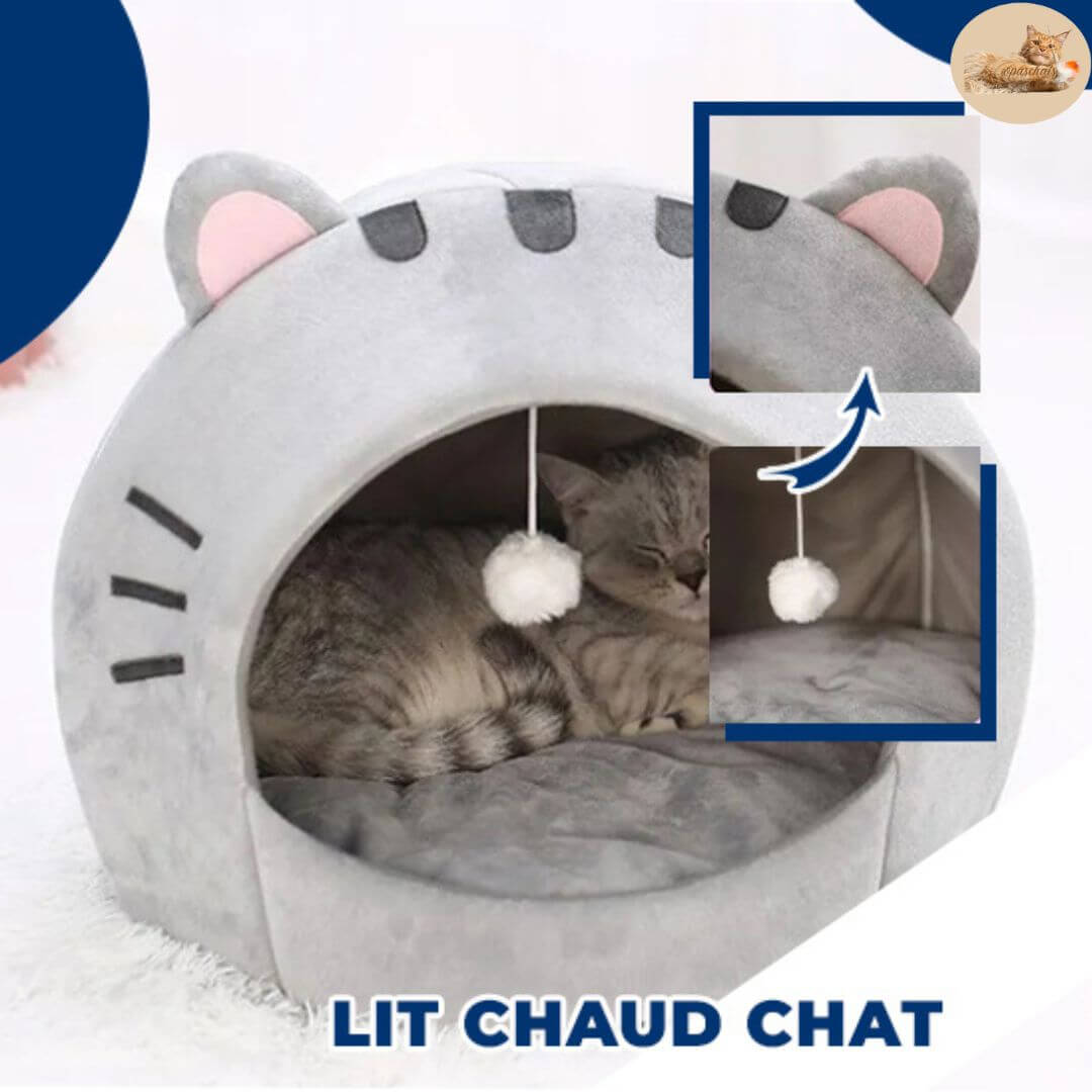 niche chat | cozy nest™ - opaschats