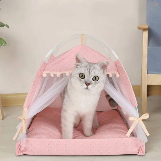 NICHE CHAT | Lady Pussy™ - opaschats