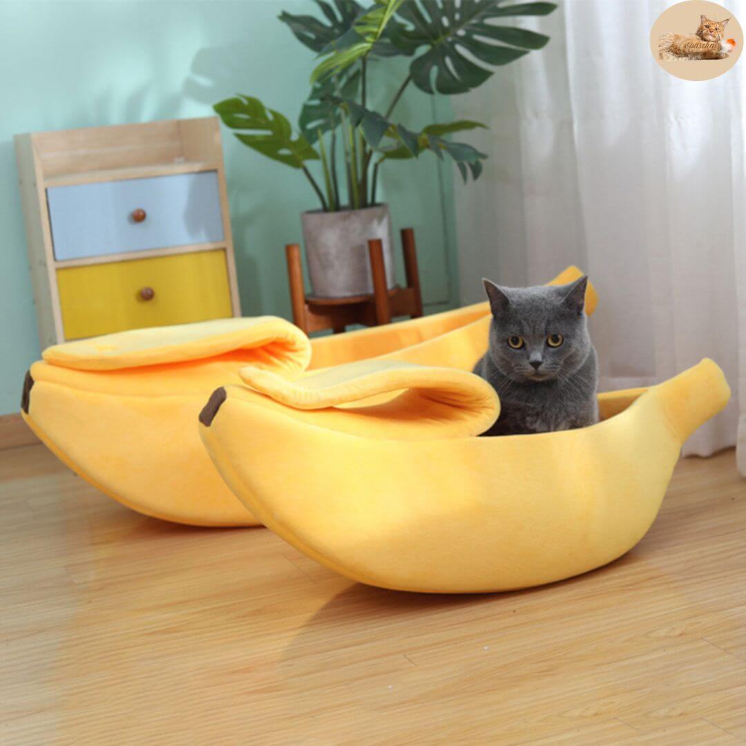 niche pour chat | bananacat™ - opaschats