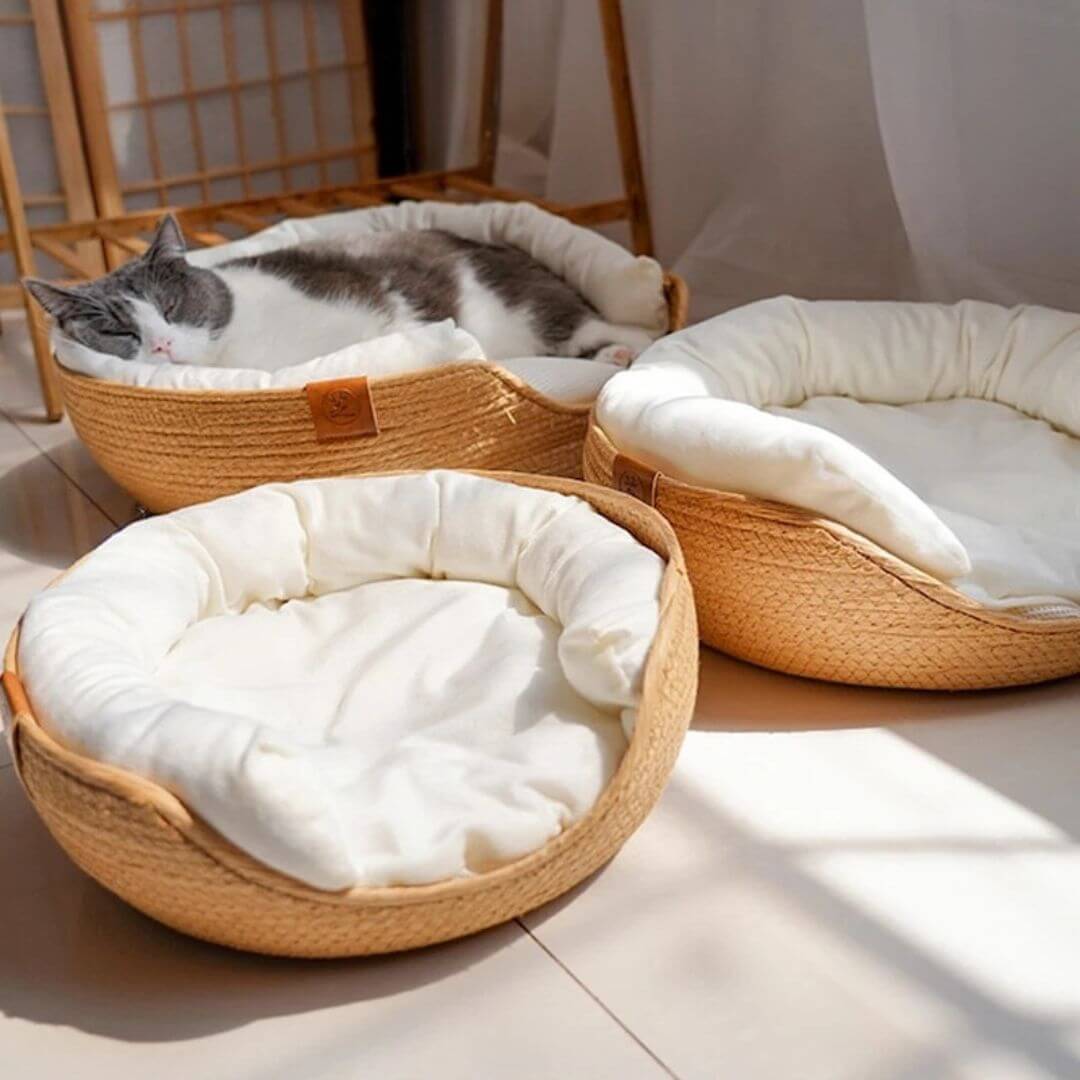 PANIER CHAT| Cocon™ - opaschats