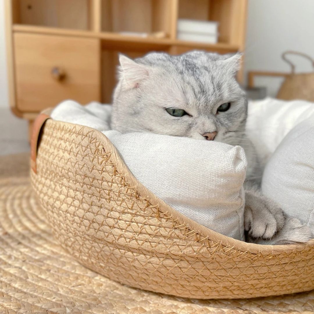 PANIER CHAT| Cocon™ - opaschats