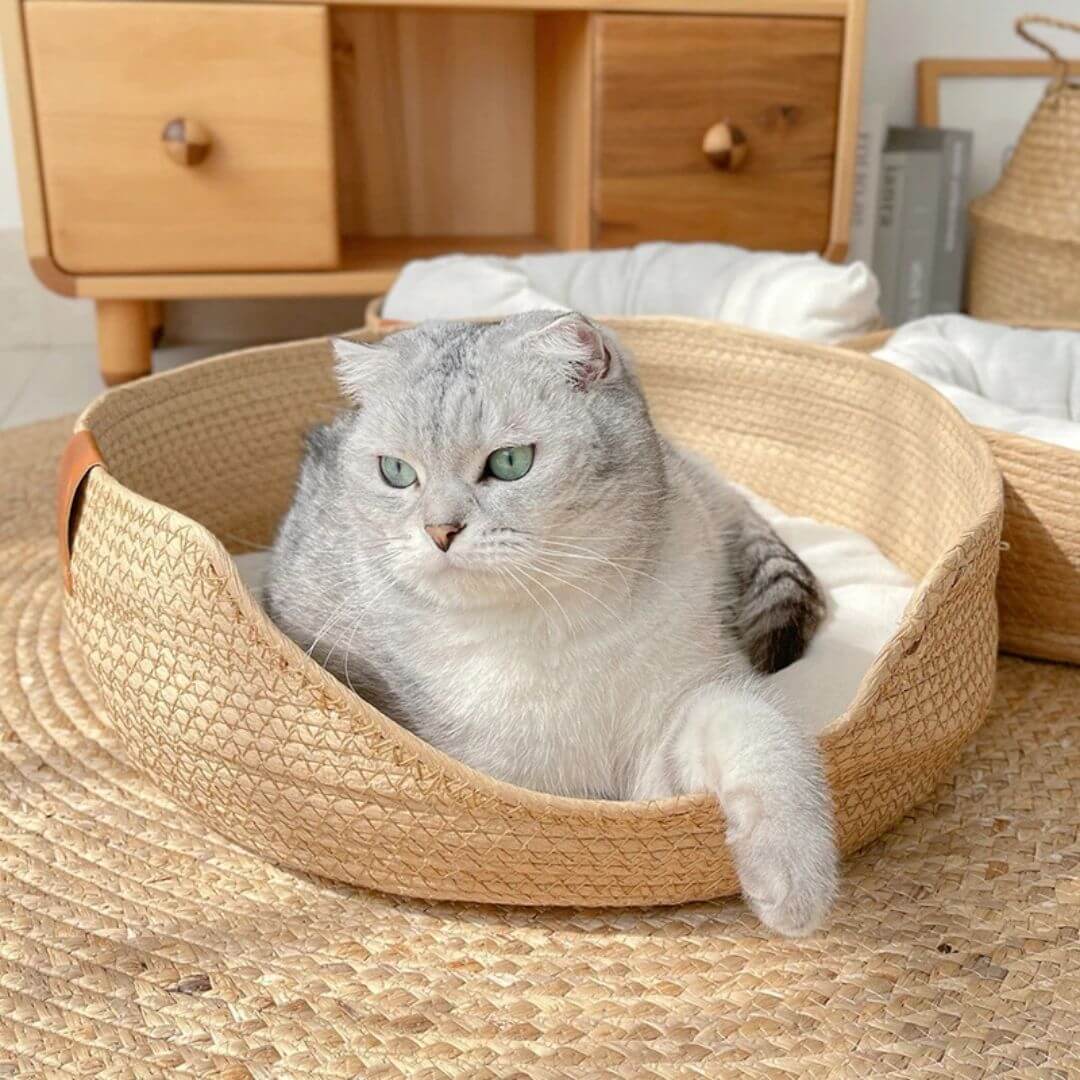 PANIER CHAT| Cocon™ - opaschats