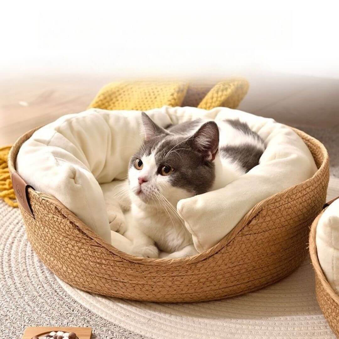 PANIER CHAT| Cocon™ - opaschats