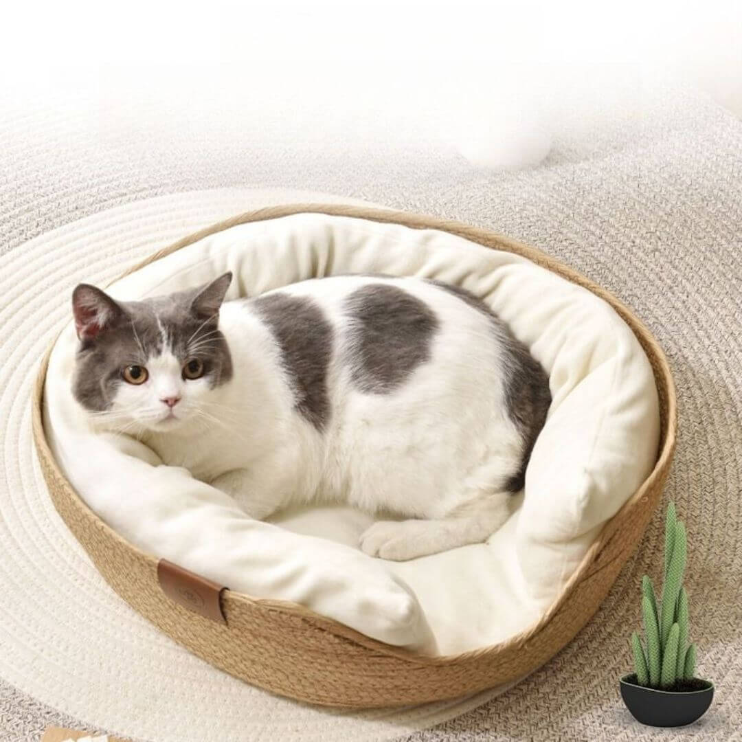 PANIER CHAT| Cocon™ - opaschats