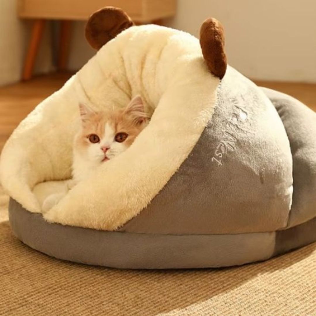 panier chat | pantoufle magique - opaschats
