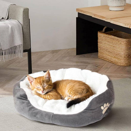 panier chatons | nid de tendresse - opaschats