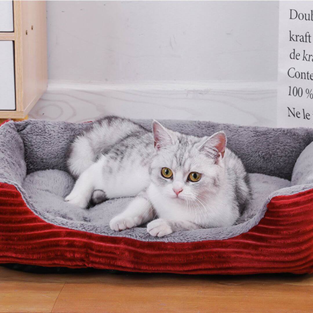 PANIER POUR CHAT | Canapé Lit Pacha™ - opaschats